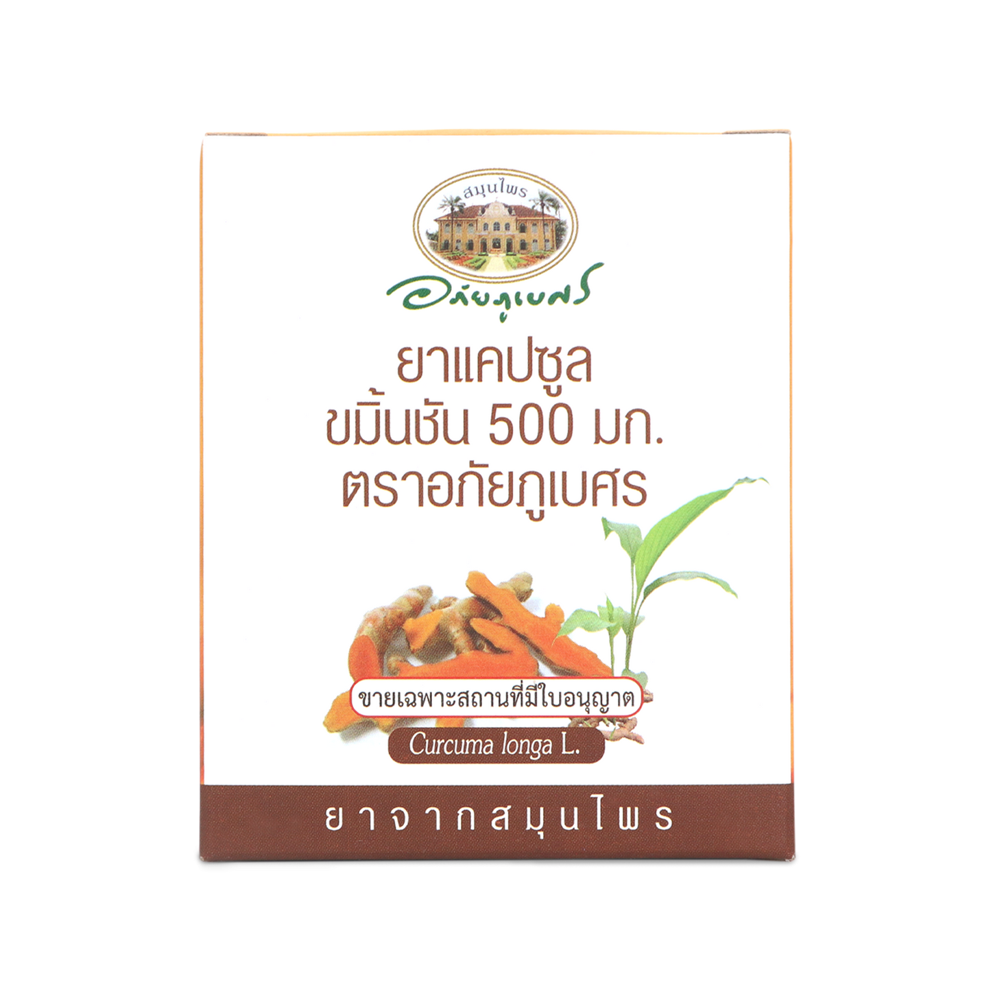 Abhaibhubejhr Turmeric Capsules 500mg — 60 Capsules (6 Blister Strips)
