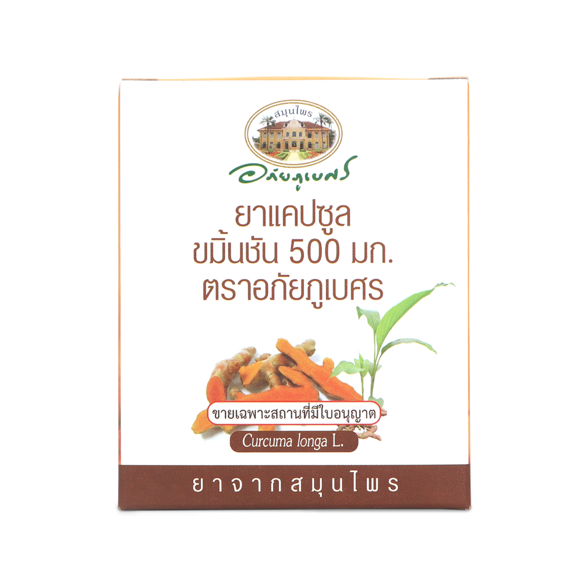 Abhaibhubejhr Turmeric Capsules 500mg — 60 Capsules (6 Blister Strips)