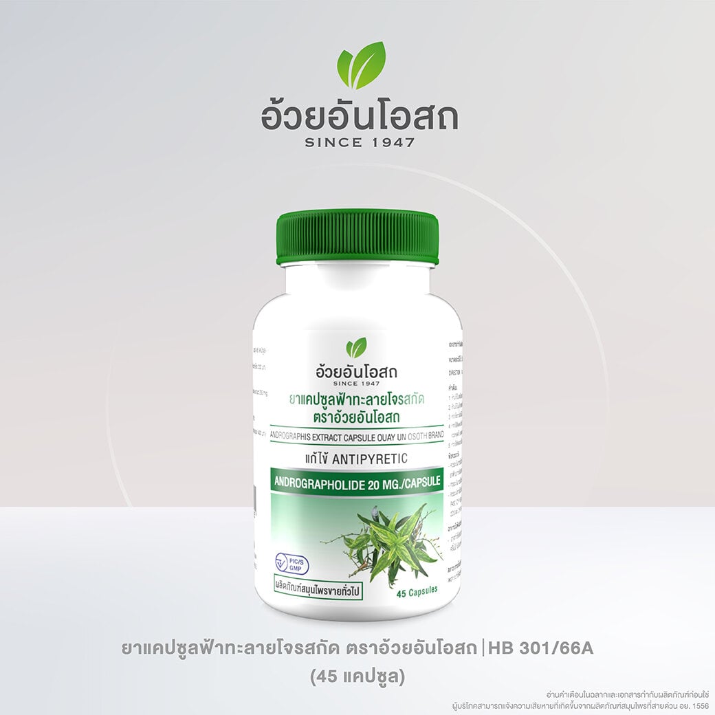 Ouay Un Osoth Andrographis 200mg 20mg Andrographolide for Everyday Wellness 20 Capsules