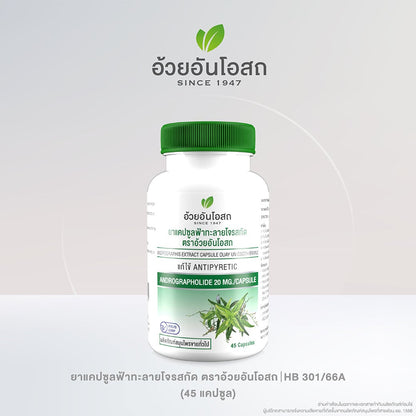 Ouay Un Osoth Andrographis 200mg 20mg Andrographolide for Everyday Wellness 20 Capsules