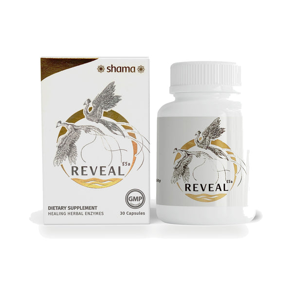 Chama Herbs Fermented Mushroom & Herb Enzyme Capsules (Revil) — 30 Capsules