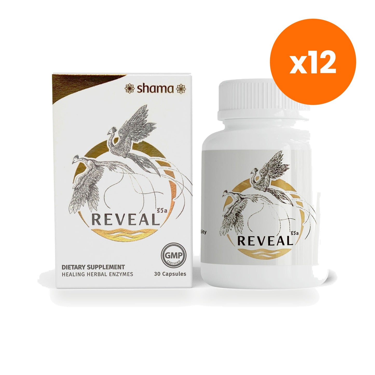 Chama Herbs Revil Mushroom Herb Enzyme Capsules 30 Capsules