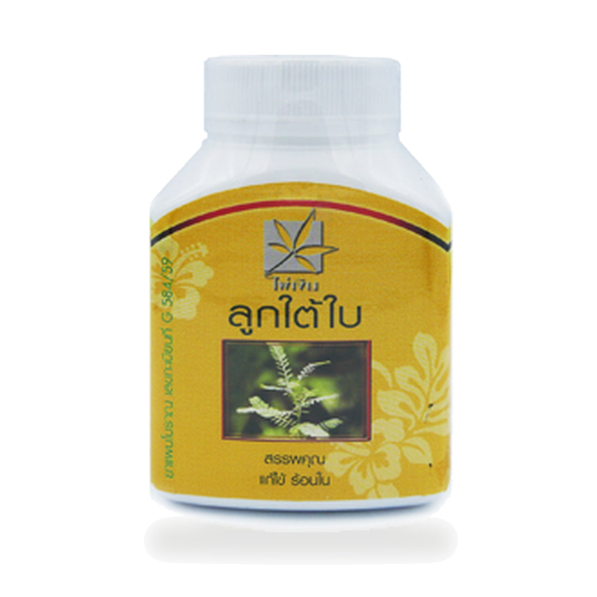 Chanca Piedra Herbal Capsules — 100 Capsules