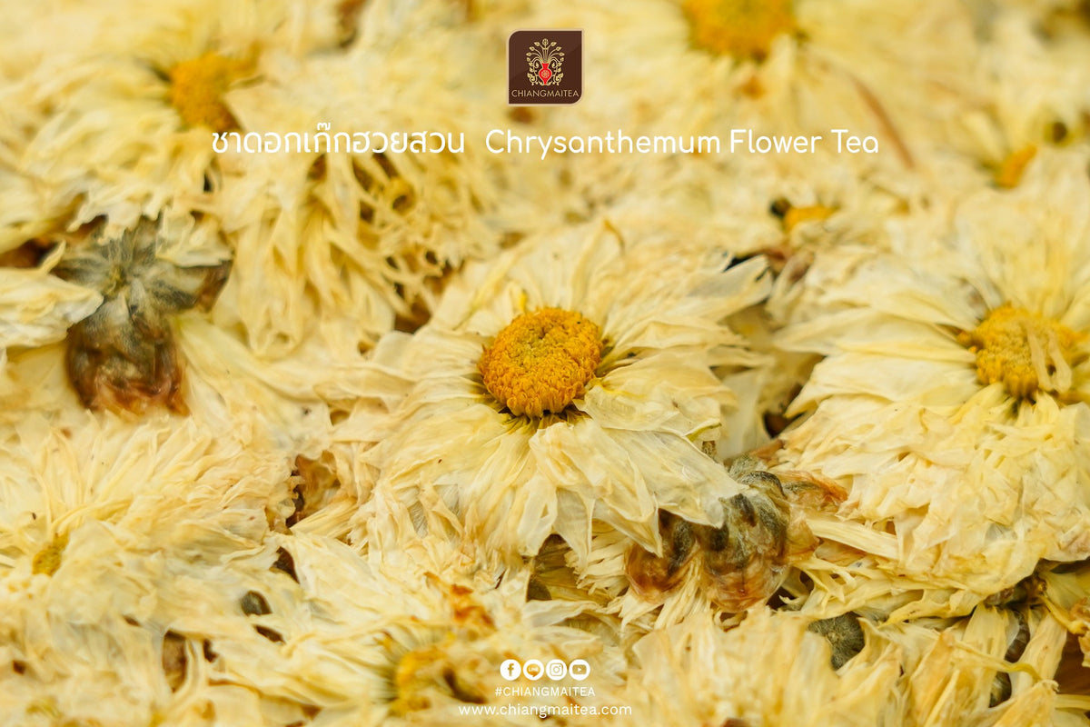 Chiang Mai Tea Dried Chrysanthemum Flowers, Garden Grade — 500 g
