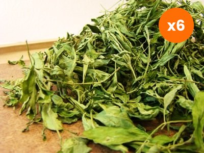 Chiang Mai Tea Dried Stevia Leaf Natural Sweetener Free 1 kg