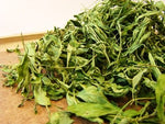 Chiang Mai Tea Dried Stevia Leaf Natural Sweetener — 1 kg