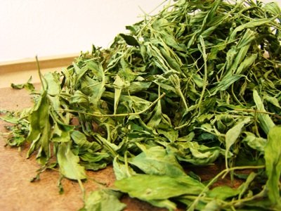 Chiang Mai Tea Dried Stevia Leaf Natural Sweetener — 1 kg