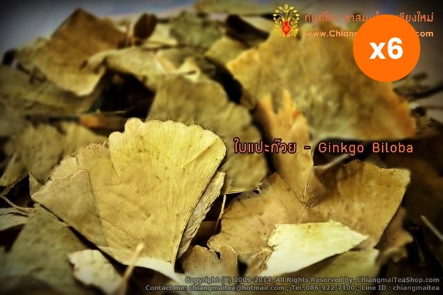 Chiang Mai Tea Ginkgo Biloba Herbal Tea 1 kg