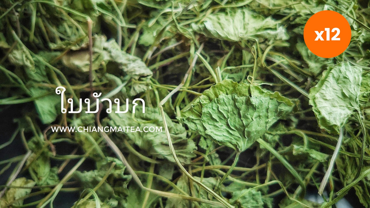 Chiang Mai Tea Gotu Kola Centella Asiatica Herbal Tea Relaxation 1 kg