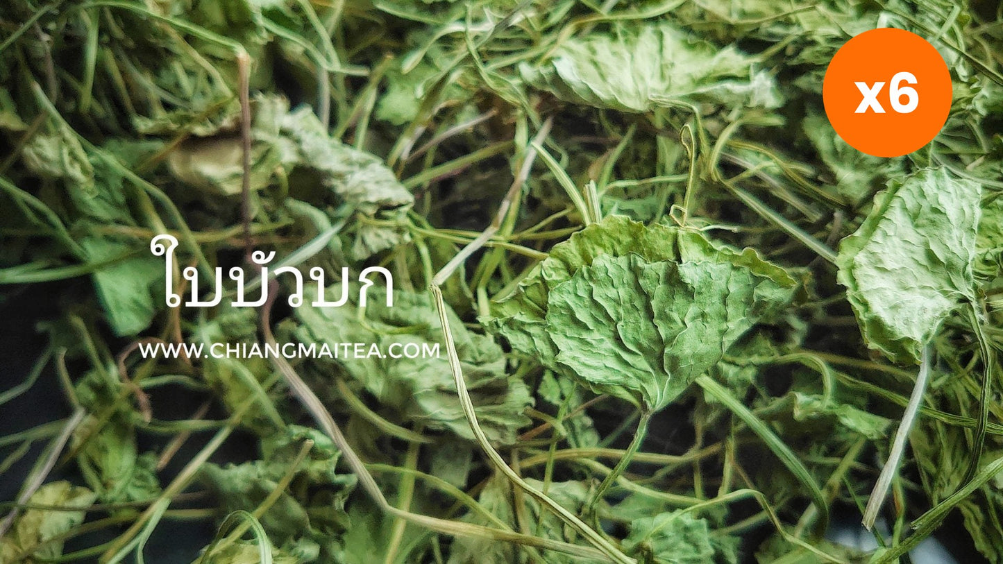 Chiang Mai Tea Gotu Kola Centella Asiatica Herbal Tea Relaxation 1 kg