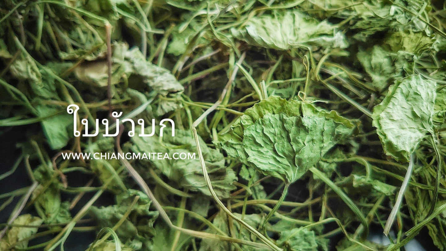 Chiang Mai Tea Gotu Kola Dried Leaf Herbal Tea — 1 kg