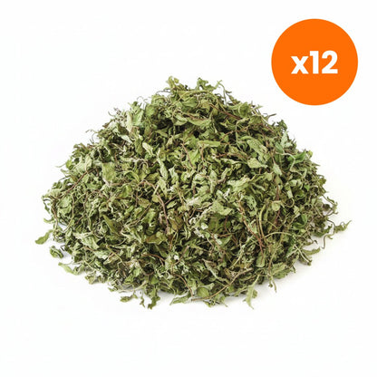 Chiang Mai Tea Japanese Mint Herbal Tea 1 kg