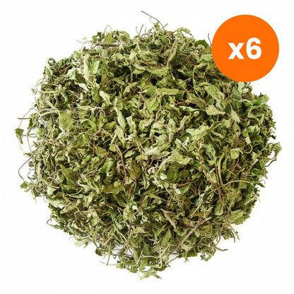 Chiang Mai Tea Japanese Mint Herbal Tea 100 g
