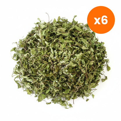 Chiang Mai Tea Japanese Mint Herbal Tea 500 g