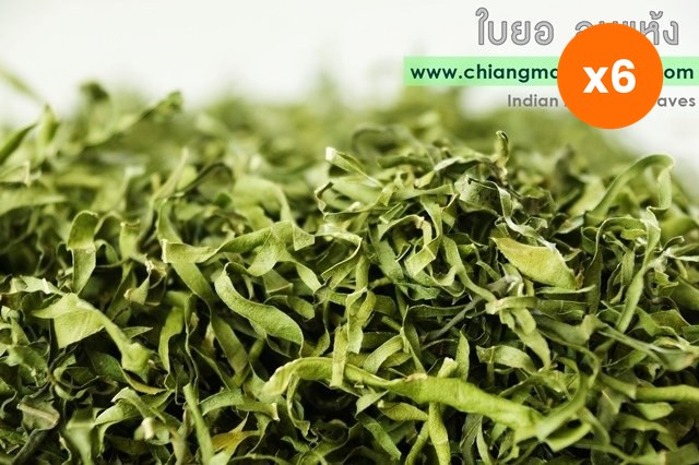 Chiang Mai Tea Noni Leaf Herbal Tea 1 kg