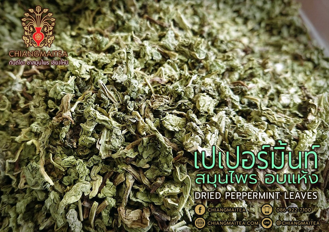 Chiang Mai Tea Peppermint Dried Herbal Tea — 1 kg