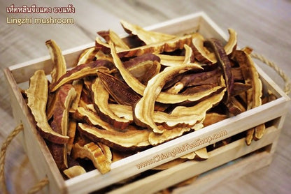 Chiang Mai Tea Reishi Mushroom (Lingzhi) Dried Slices — 1 kg