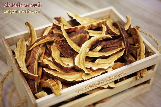 Chiang Mai Tea Reishi Mushroom (Lingzhi) Dried Slices — 1 kg