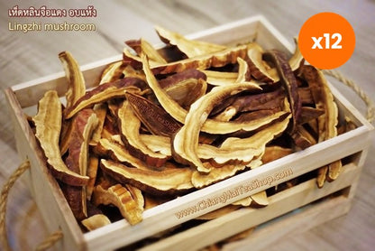 Chiang Mai Tea Reishi Mushroom Lingzhi Dried Slices 1 kg