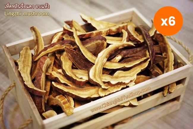 Chiang Mai Tea Reishi Mushroom Lingzhi Dried Slices 1 kg