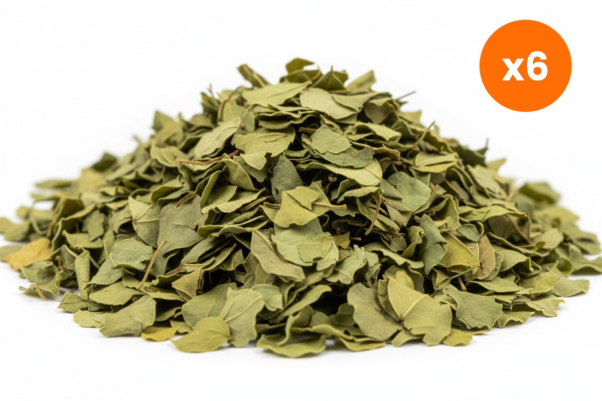 Chiang Mai Tea Senna Leaf Herbal Tea 1 kg