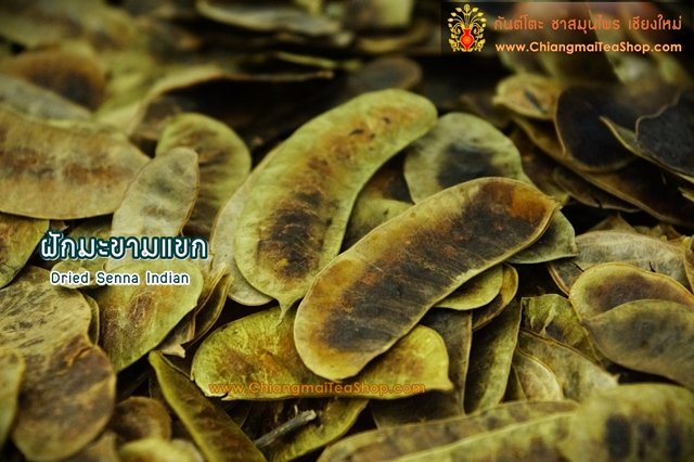 Chiang Mai Tea Senna Pods Dried Herbal Tea — 1 kg