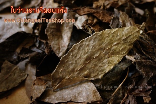 Chiang Mai Tea Thunbergia Laurifolia (Rang Jued) Dried Herbal Tea — 1 kg
