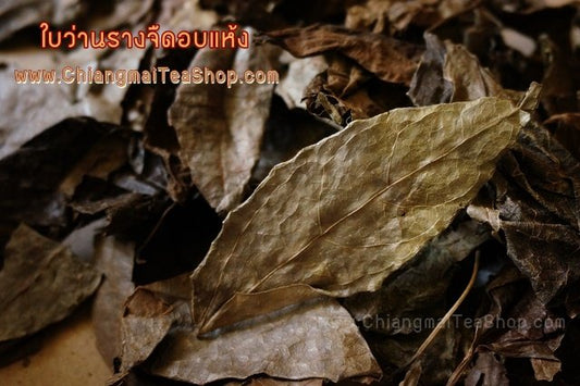 Chiang Mai Tea Thunbergia Laurifolia (Rang Jued) Dried Herbal Tea — 1 kg