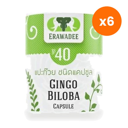 Erawadee Ginkgo Biloba No.40 Herbal Capsules