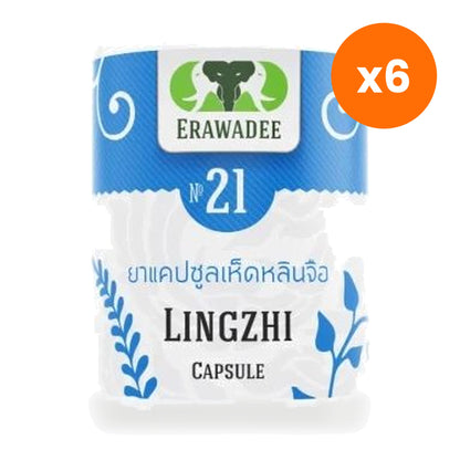 Erawadee No.21 Reishi Mushroom Capsules Daily