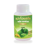 Ginkgo Biloba Extract Plus Softgels — 150 Softgels