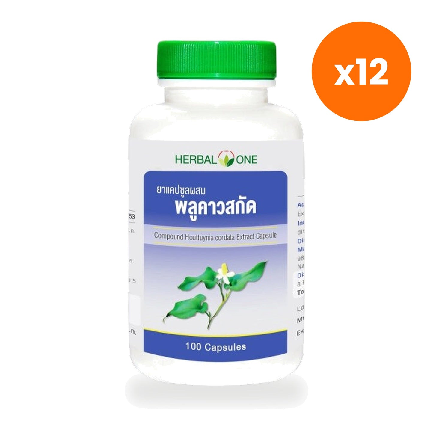 Herbal One Houttuynia Capsules 200mg for Antioxidant Support 100 Capsules