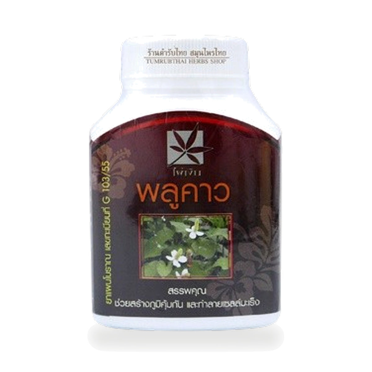 Houttuynia cordata Herbal Capsules — 100 Capsules