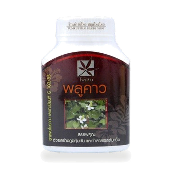 Houttuynia cordata Herbal Capsules — 100 Capsules