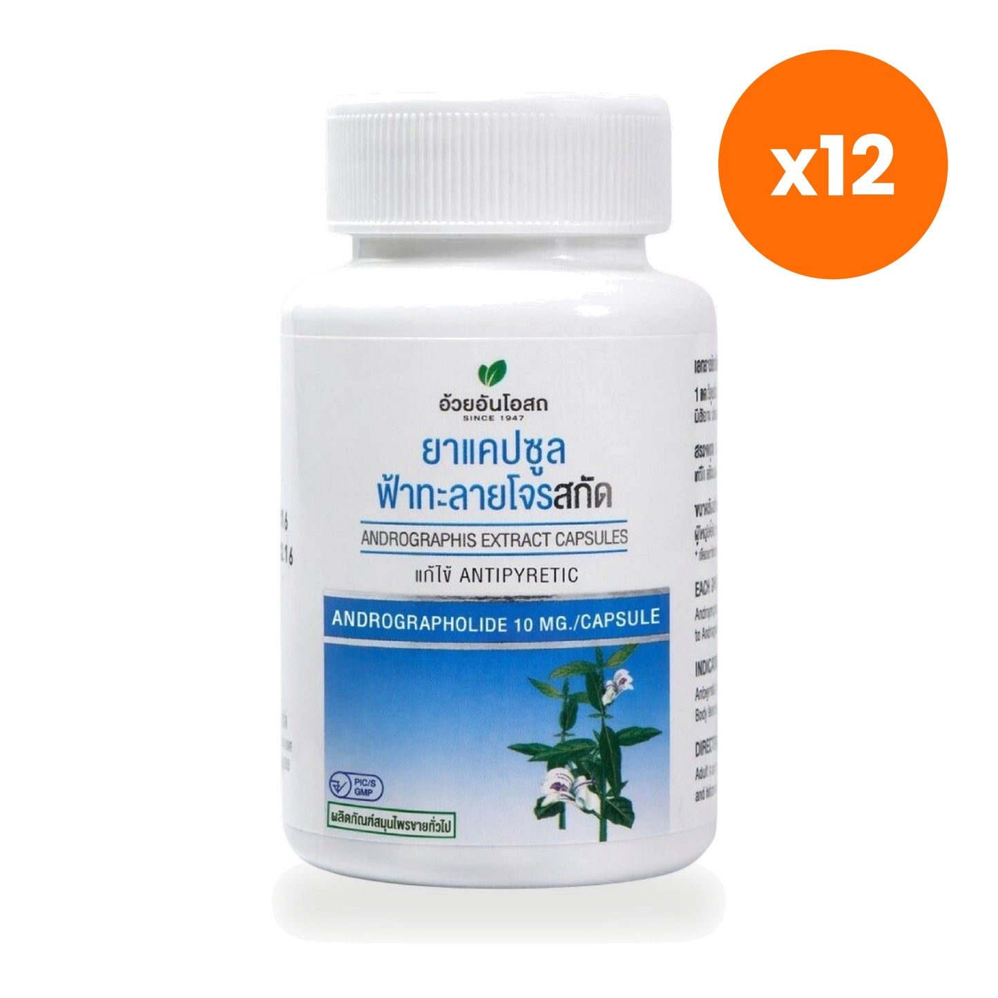 Ouay Un Osoth Andrographis 200mg 10mg Andrographolide for Cooling Herbal Support 60 Capsules