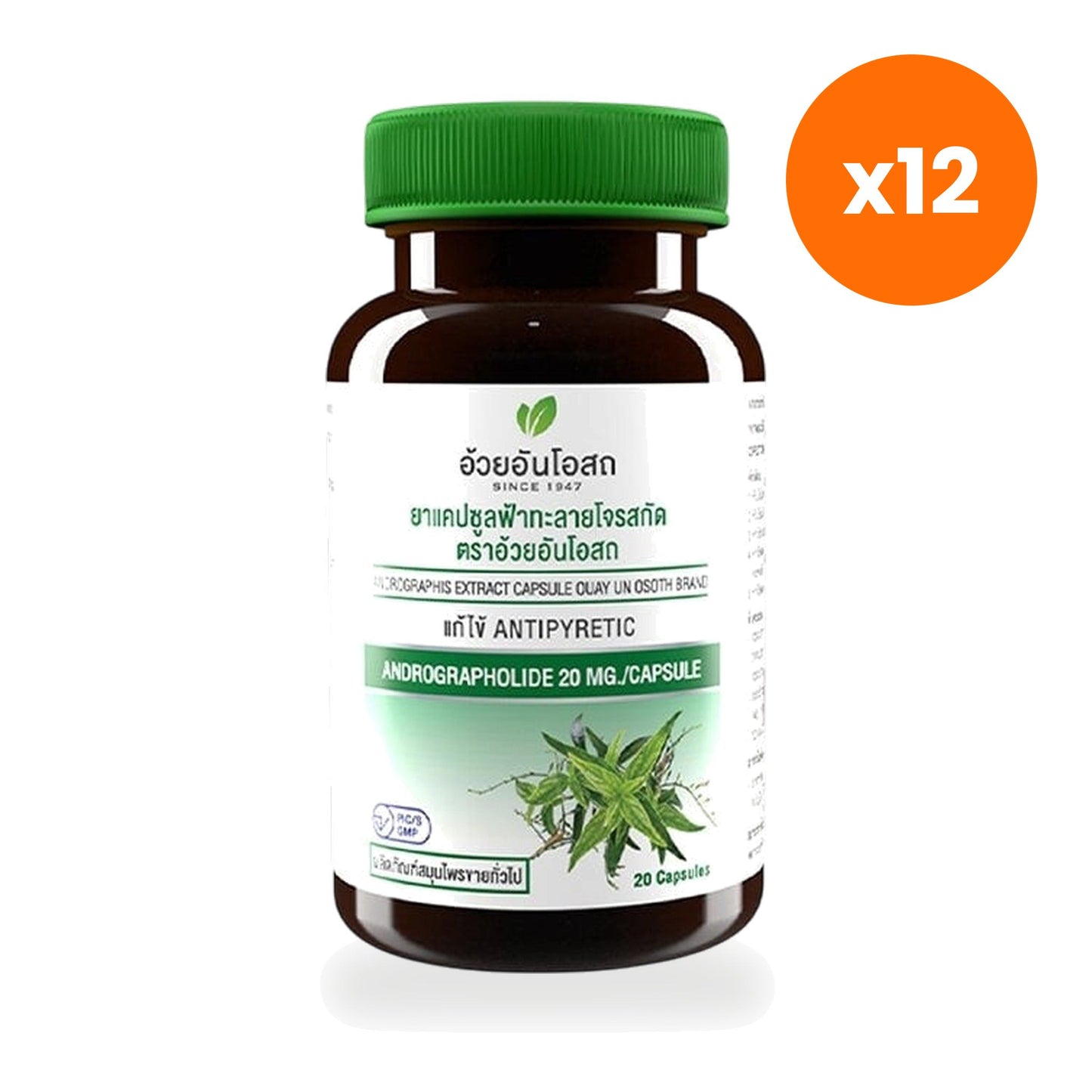 Ouay Un Osoth Andrographis 200mg 20mg Andrographolide for Everyday Wellness 20 Capsules