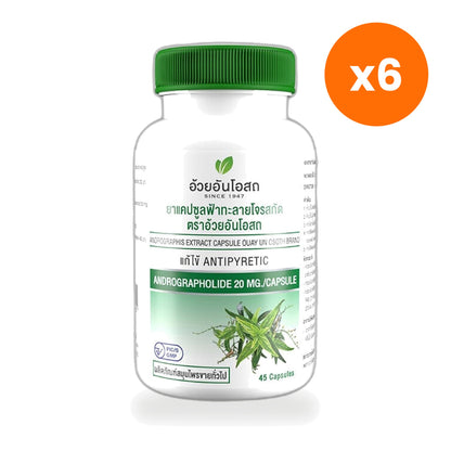 Ouay Un Osoth Andrographis 200mg 20mg Andrographolide for Everyday Wellness 45 Capsules