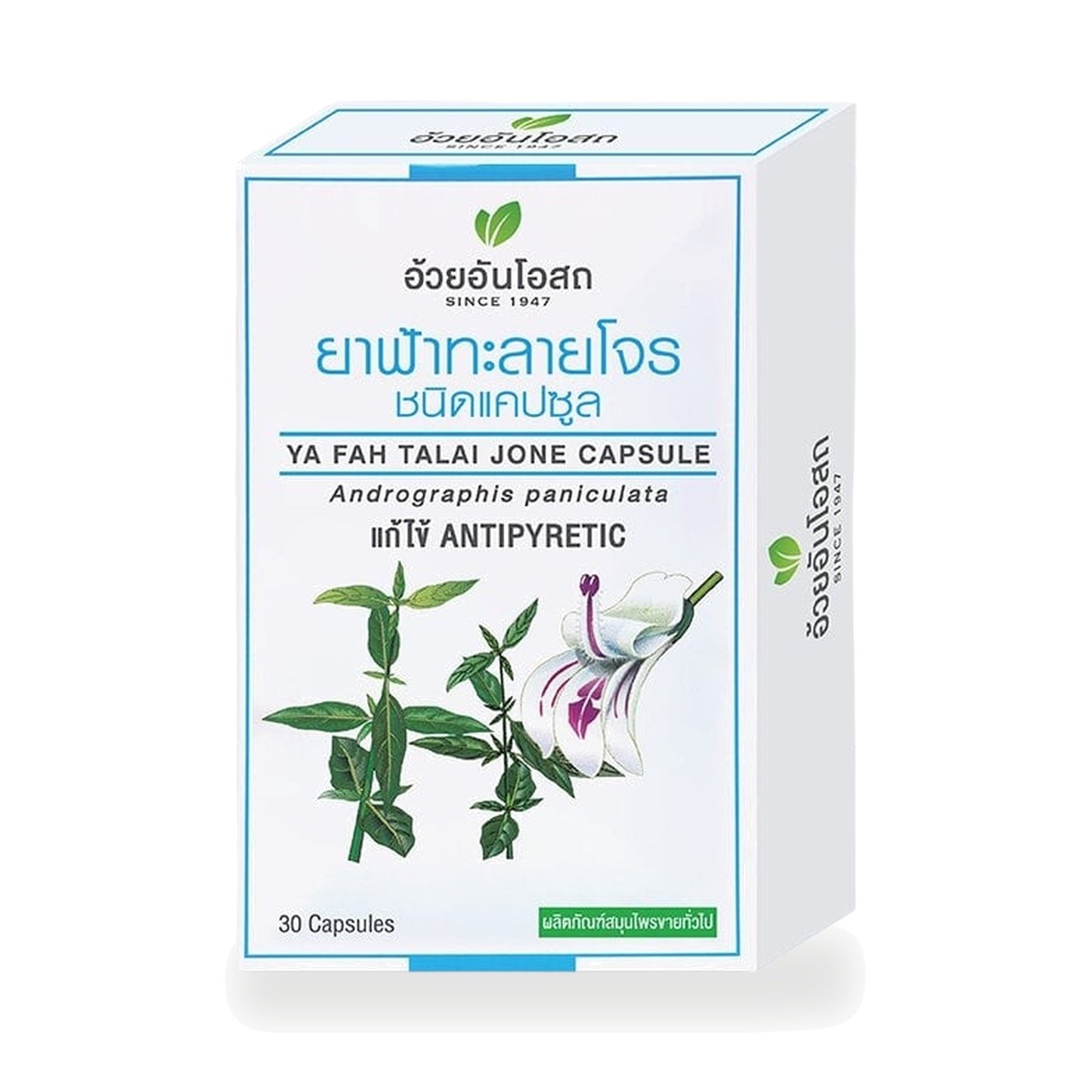 Ouay Un Osoth Andrographis Capsules 400mg — 30 Capsules (3 Blister Strips of 10)