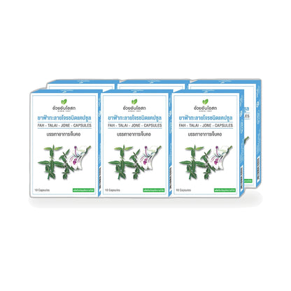 Ouay Un Osoth Andrographis Capsules 400mg — 60 Capsules (6 Blister Strips of 10)