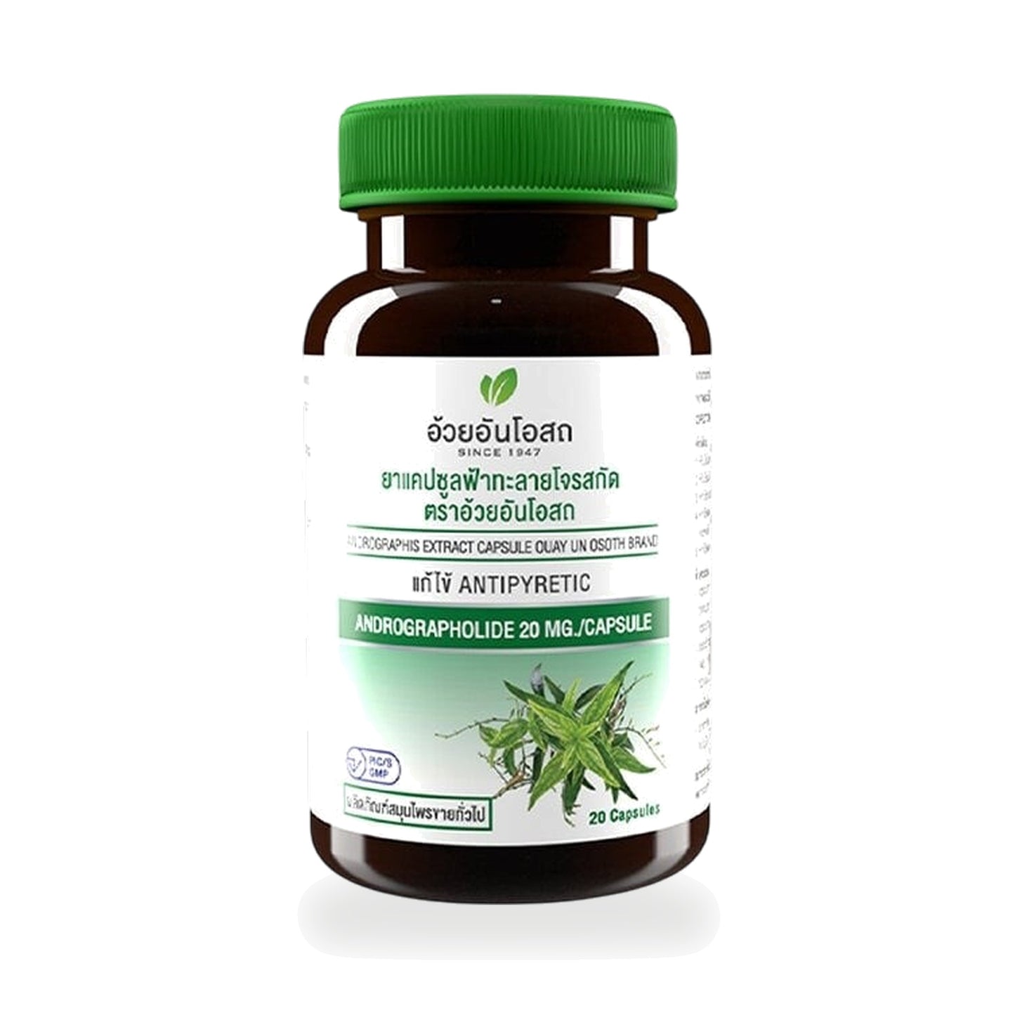 Ouay Un Osoth Andrographis Extract Capsules 200mg with 20mg Andrographolide — Bottle of 20 Capsules