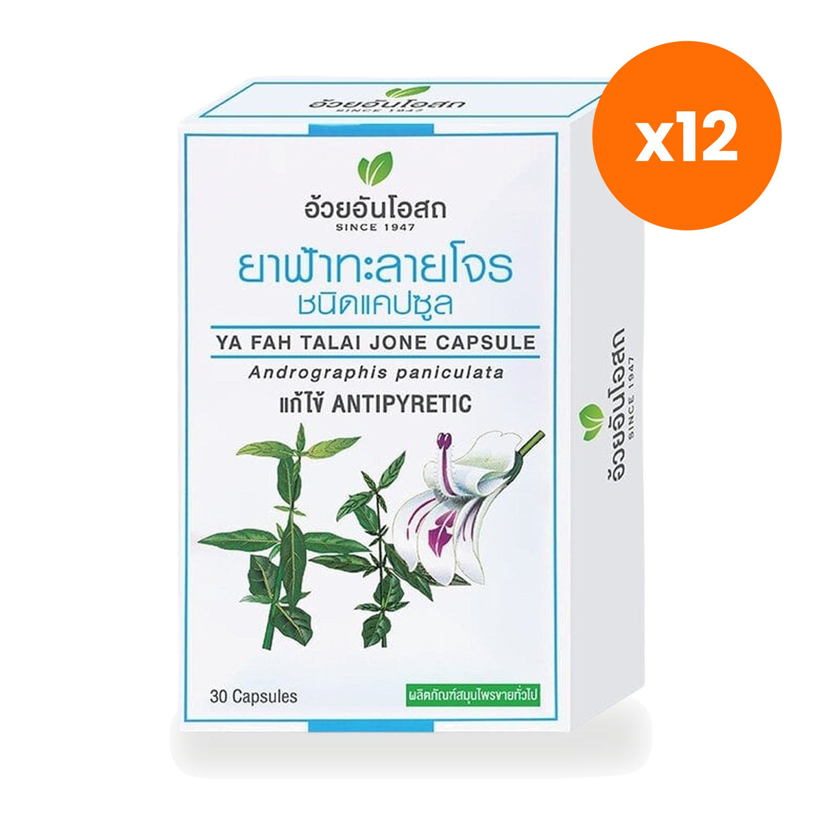 Ouay Un Osoth Fa Talai Jone Andrographis 400mg for Throat Comfort 30 Capsules