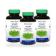 Ouay Un Osoth Herbal One Bacopa Extract Capsules 300mg — 3 x 60 Capsules