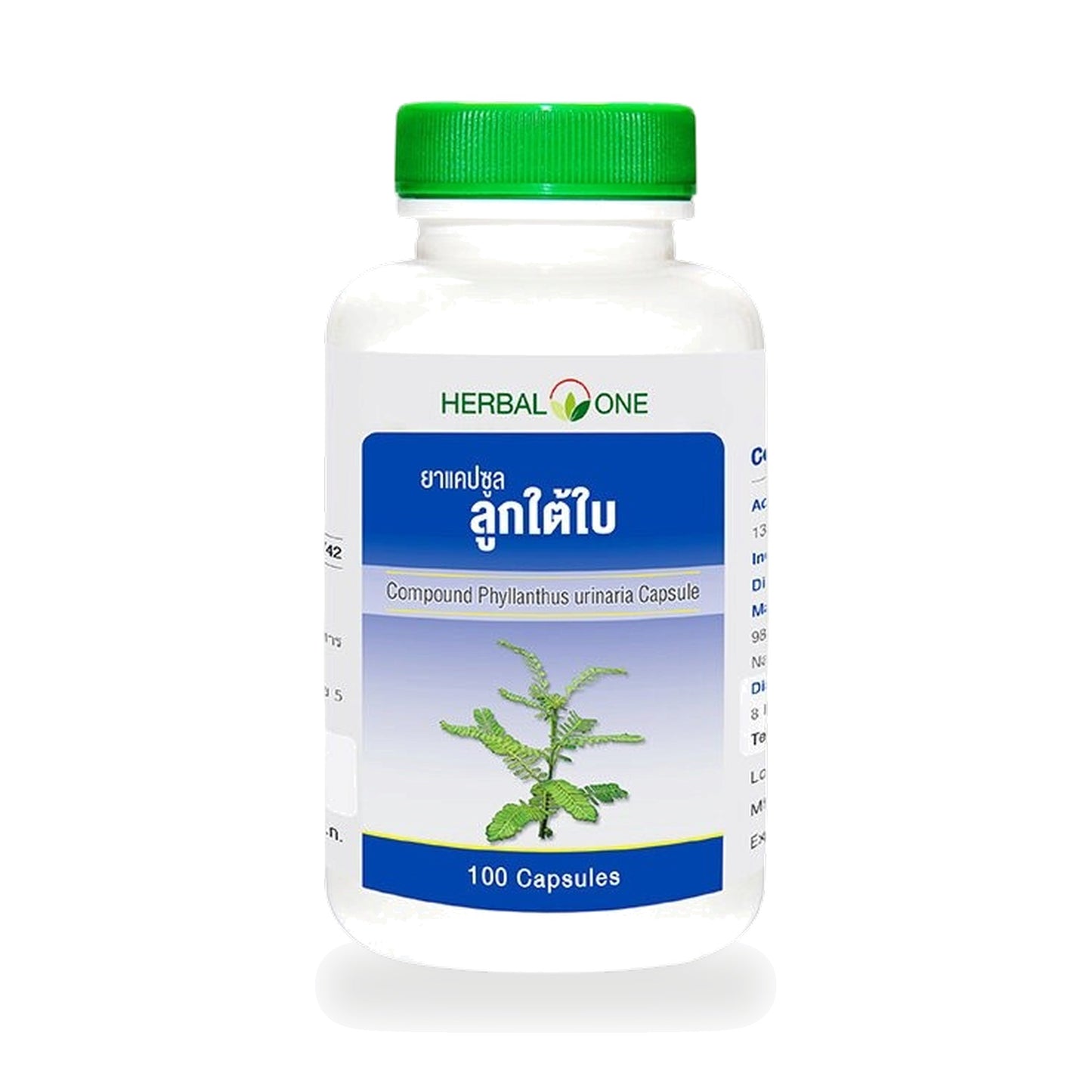 Ouay Un Osoth Herbal One Chanca Piedra Capsules 135mg — 100 Capsules
