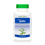 Ouay Un Osoth Herbal One Chanca Piedra Capsules 135mg — 100 Capsules