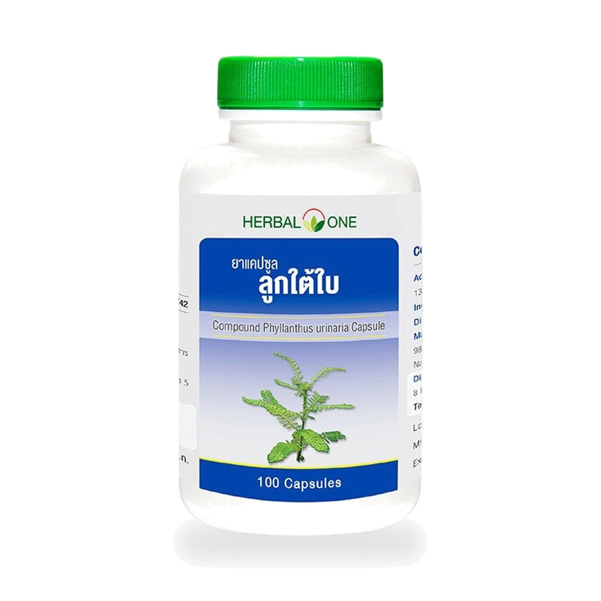 Ouay Un Osoth Herbal One Chanca Piedra Capsules 135mg — 100 Capsules