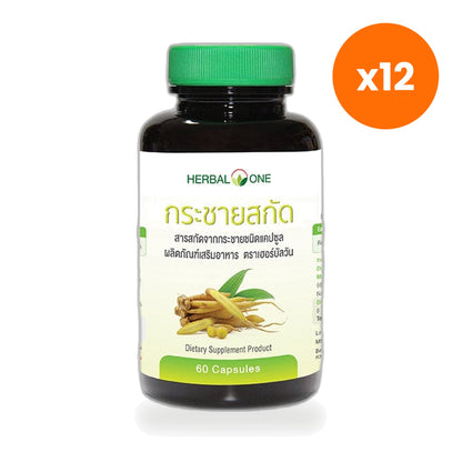Ouay Un Osoth Herbal One Fingerroot 200mg 1 Piece