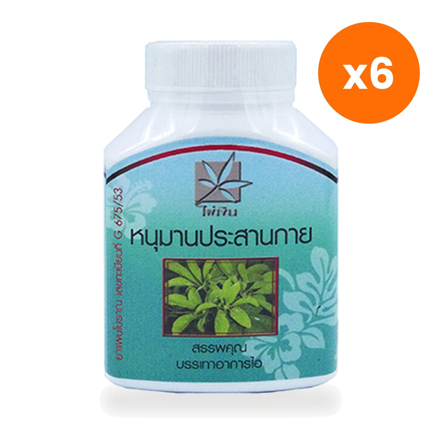 Schefflera Leucantha Hanuman Prasan Kai Capsules