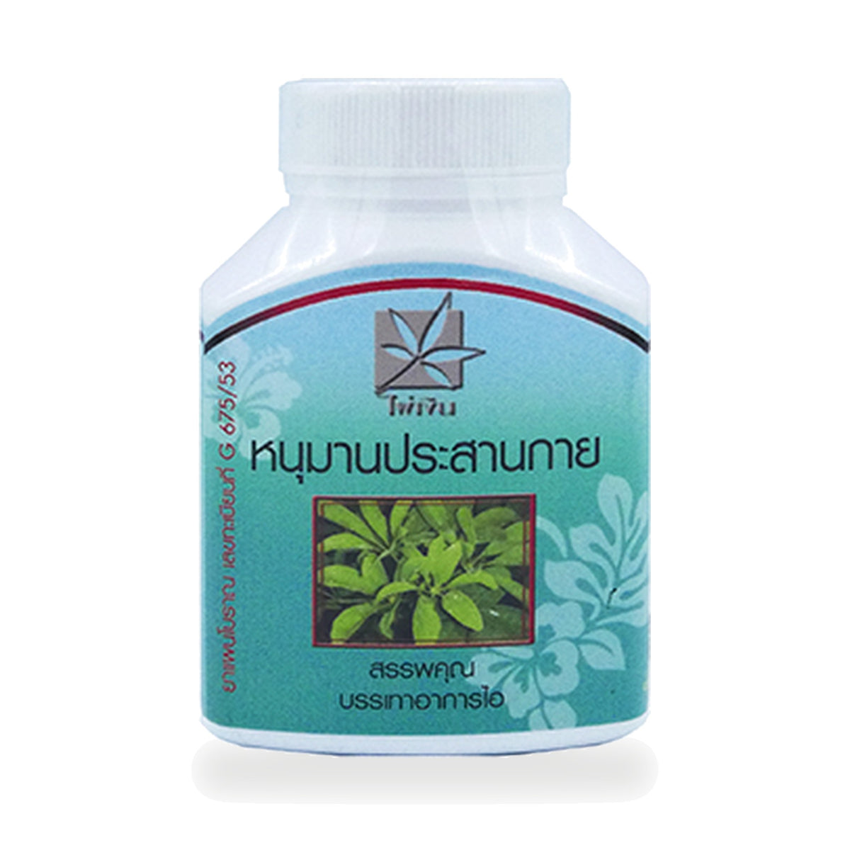 Schefflera leucantha Herbal Capsules (Hanuman Prasan Kai)