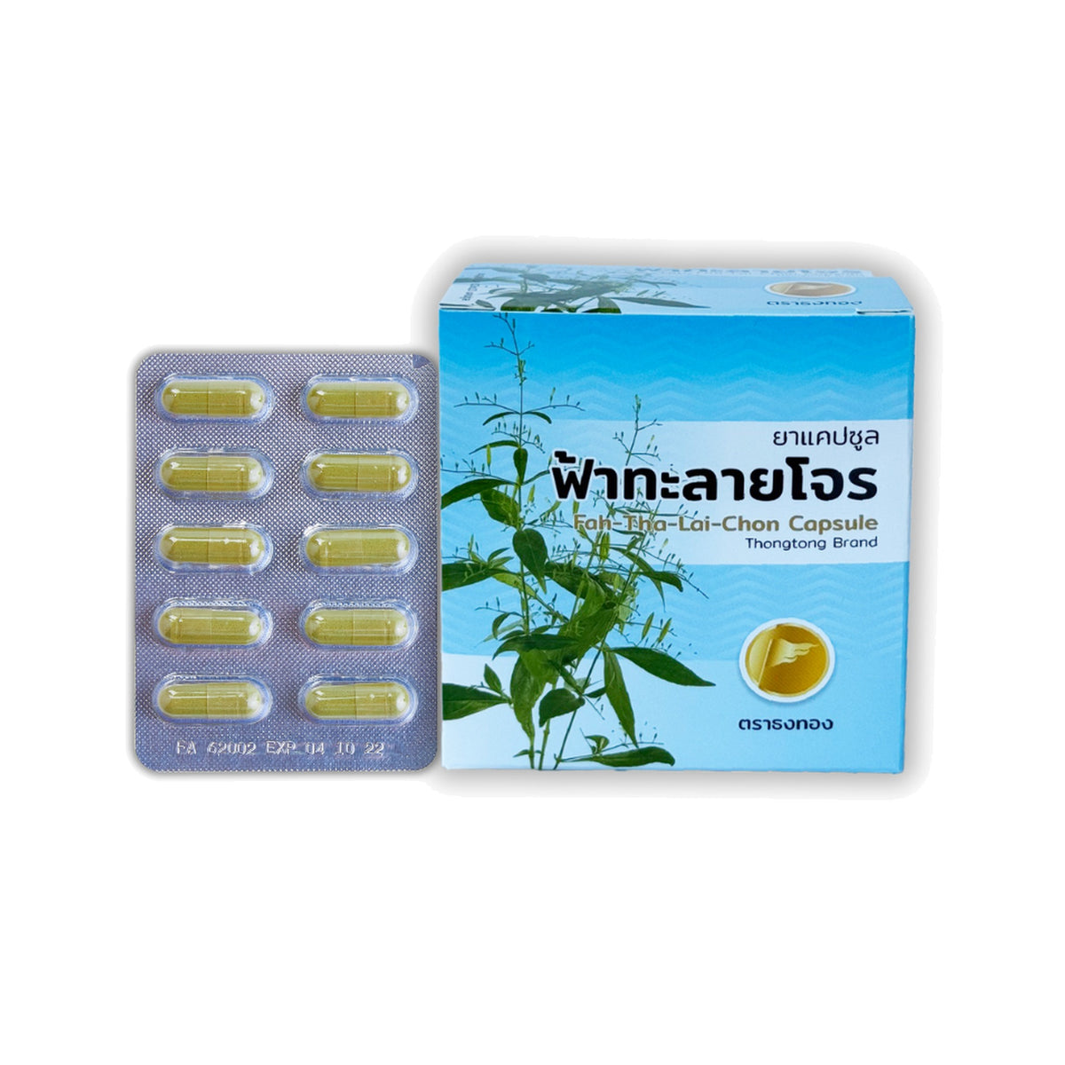 Thongtong Osoth Andrographis Fa Talai Jone for Daily Immune Support 100 Blister Capsules