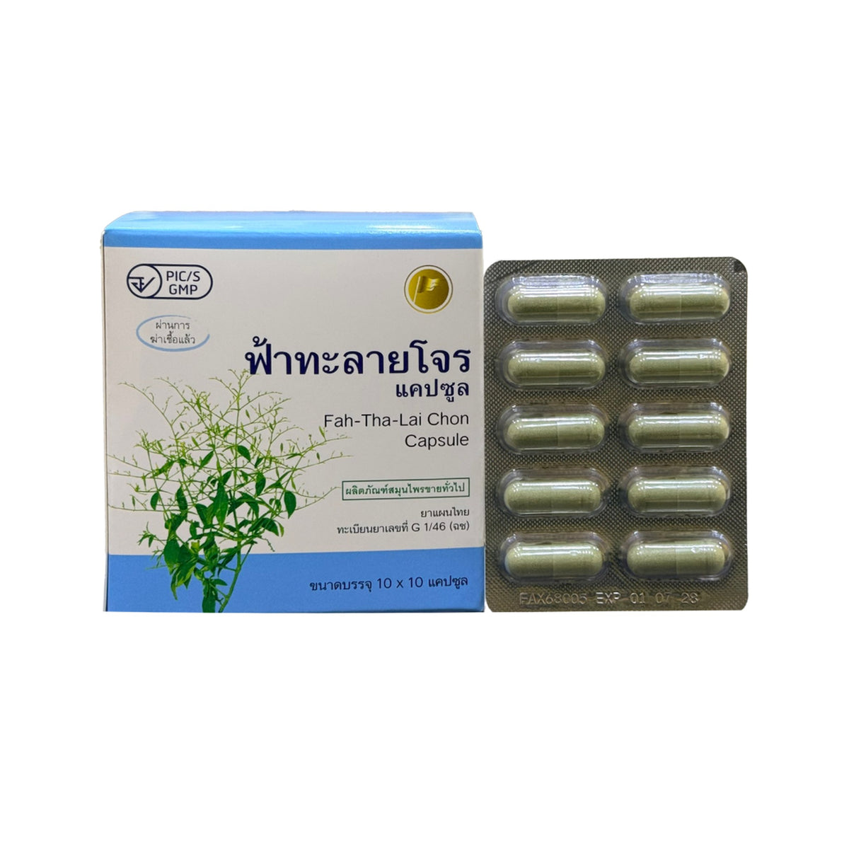 Thongtong Osoth Andrographis Fa Talai Jone 500mg for Daily Immune Support 100 Capsules